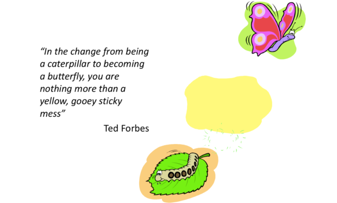 caterpillar transformation