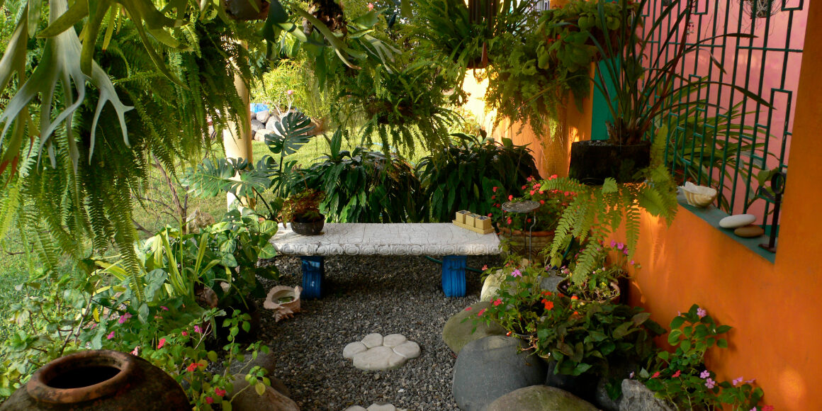 Marguerite's garden when she used to live in Jamaica