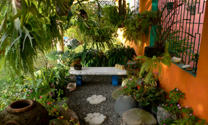 Marguerite's garden when she used to live in Jamaica